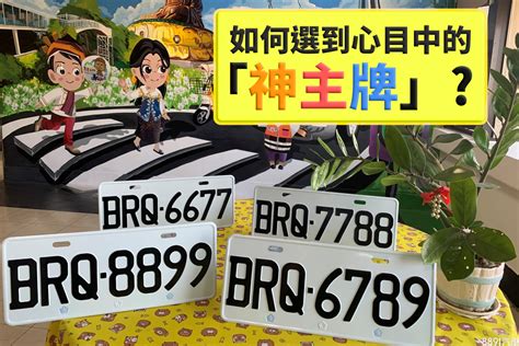 車牌選號吉凶|車牌怎麼選比較好？數字五行解析吉凶秘訣完整教學